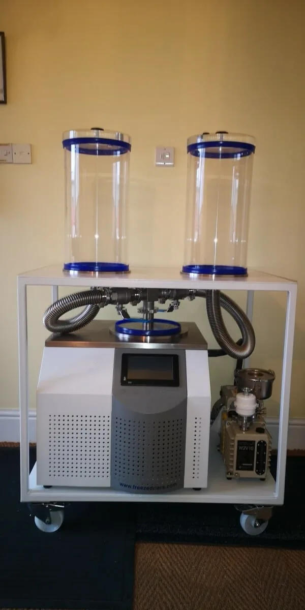 Freeze dryer vacuum system