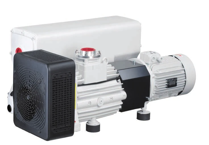 Leybold SV300 B manufacturer photograph; confirm the motor and fittings for the quoted build.