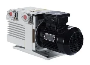 Leybold TRIVAC D 16BCS manufacturer range illustration; configuration varies