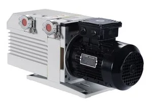 Leybold TRIVAC D 25BCS manufacturer range illustration; configuration varies