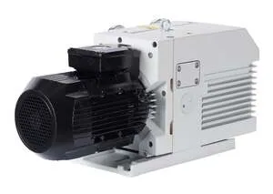 Leybold TRIVAC D 40BCS manufacturer range illustration; configuration varies